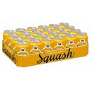 Tuborg Squash Cans 24x0,33L "Export" 99 trays/pallet